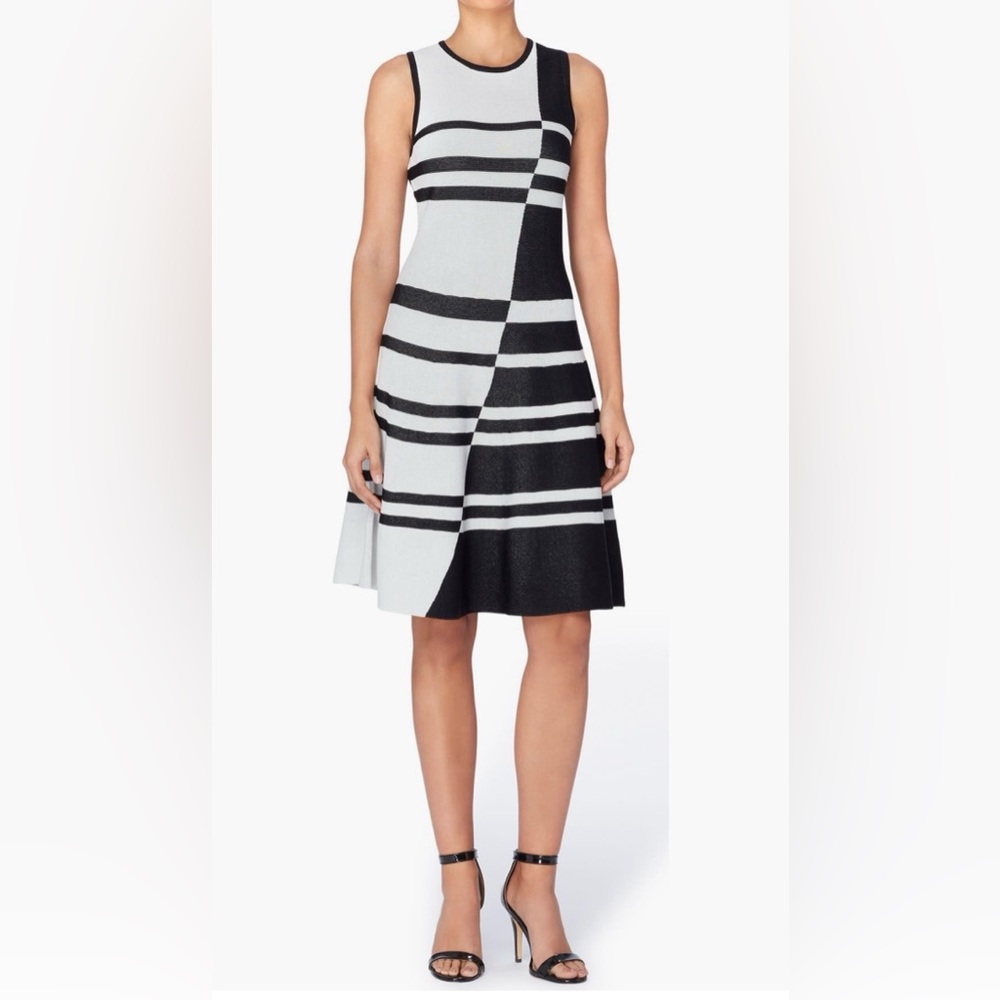 🔥🆕 Catherine Malandrino Black and White Striped Dress